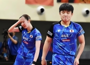 米兰体育下载-包含法国乒乓球队强势比利时乒乓球队，张本智和制霸全场的词条