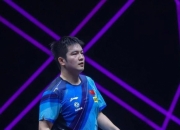 米兰体育官方网站-关于葡萄牙队完胜法国队，樊振东高光表现的信息