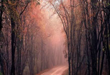 米兰体育官网-中超奇幻夜：篮坛死神杜兰特绿茵约战曼城大脑德布劳内