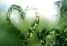 米兰体育官网-中超奇幻夜：篮坛死神杜兰特绿茵约战曼城大脑德布劳内