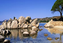 米兰体育官网-中超奇幻夜：篮坛死神杜兰特绿茵约战曼城大脑德布劳内