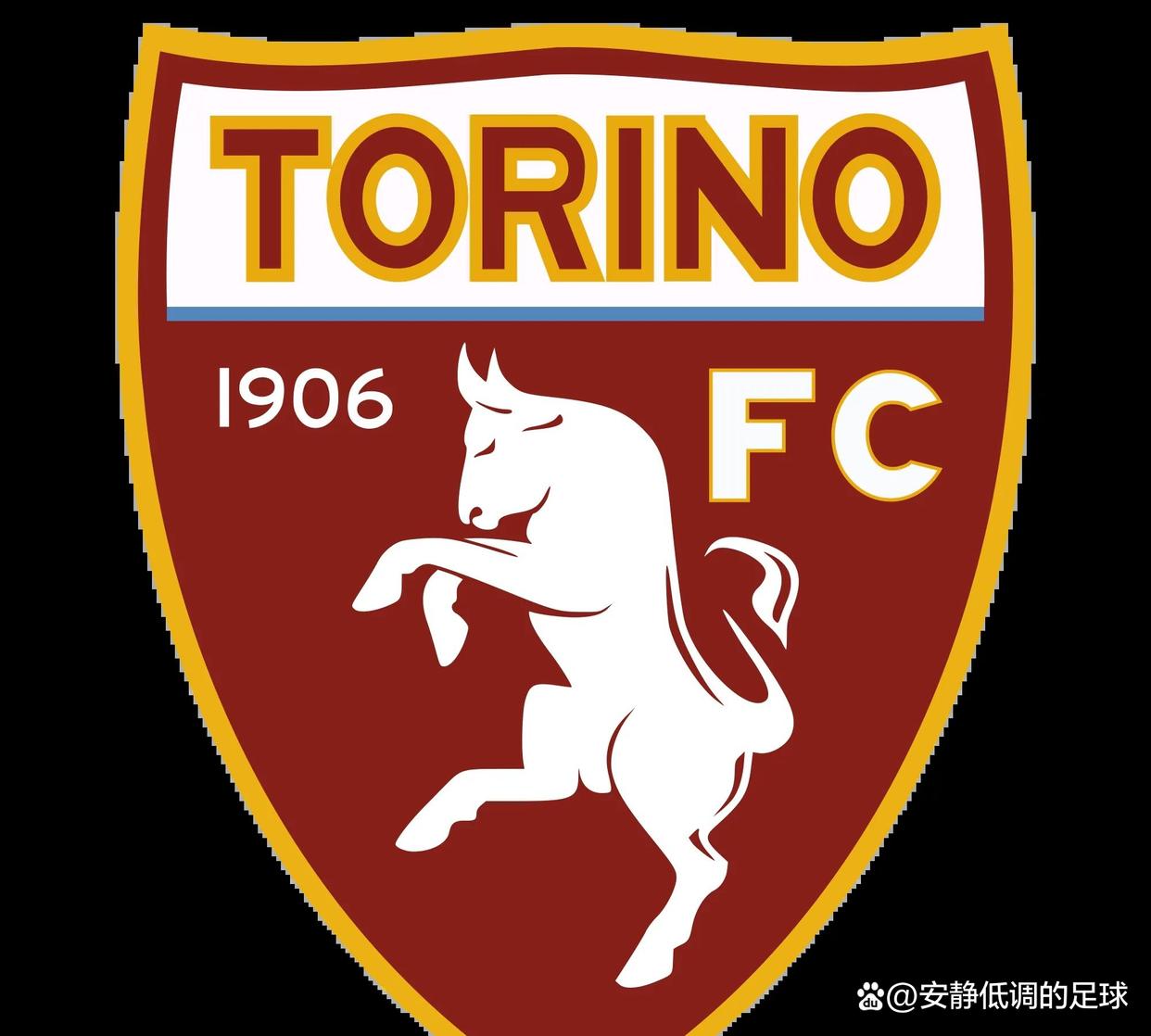 都灵新援表现出色，积极适应球队战术