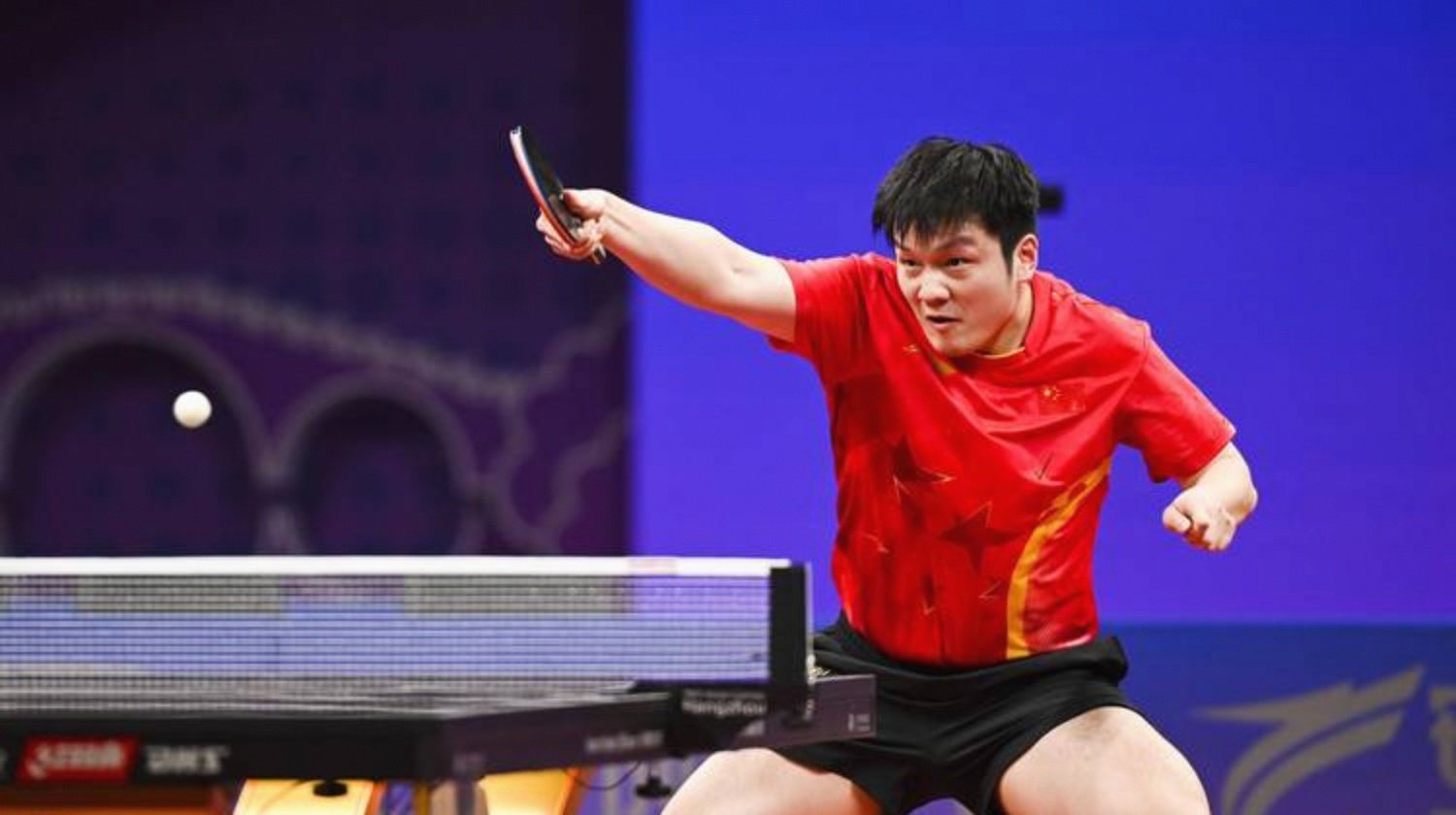 关于葡萄牙队完胜法国队，樊振东高光表现的信息